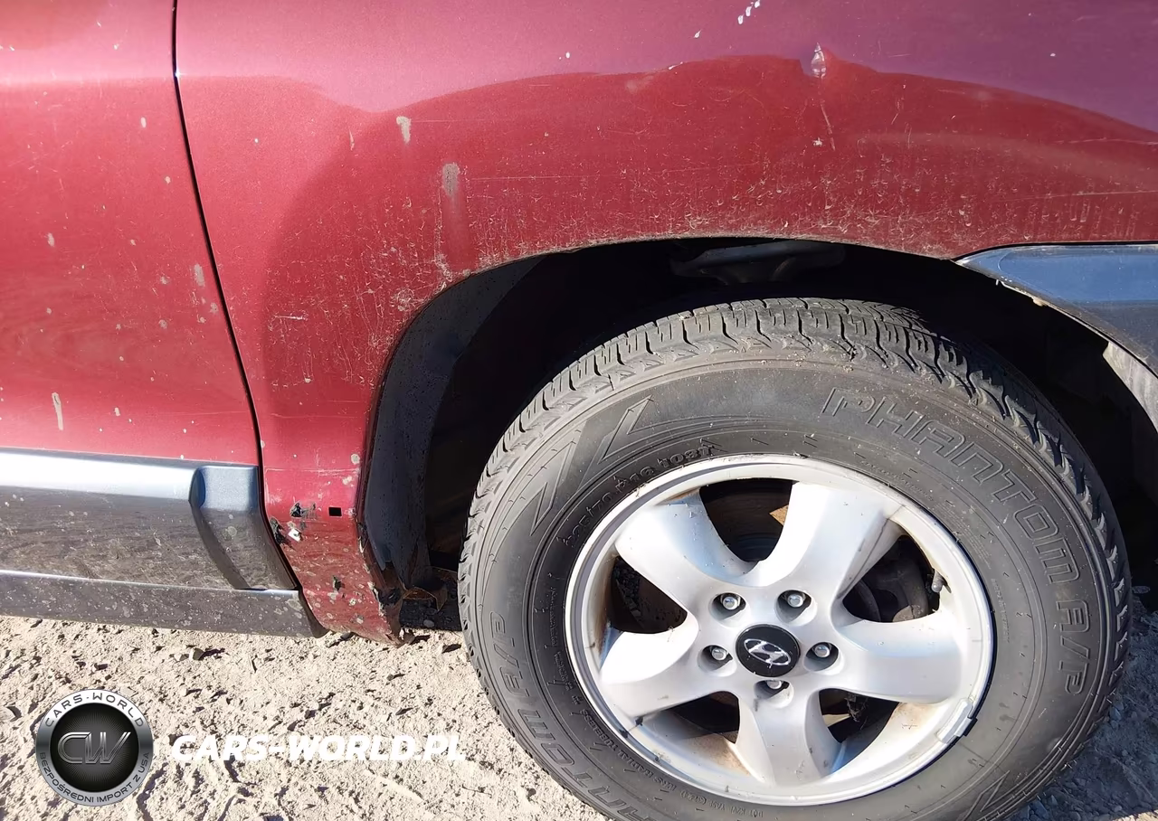 2005 Hyundai Santa Fe Gls-Lx VIN:KM8SC13E15U943569 - 12