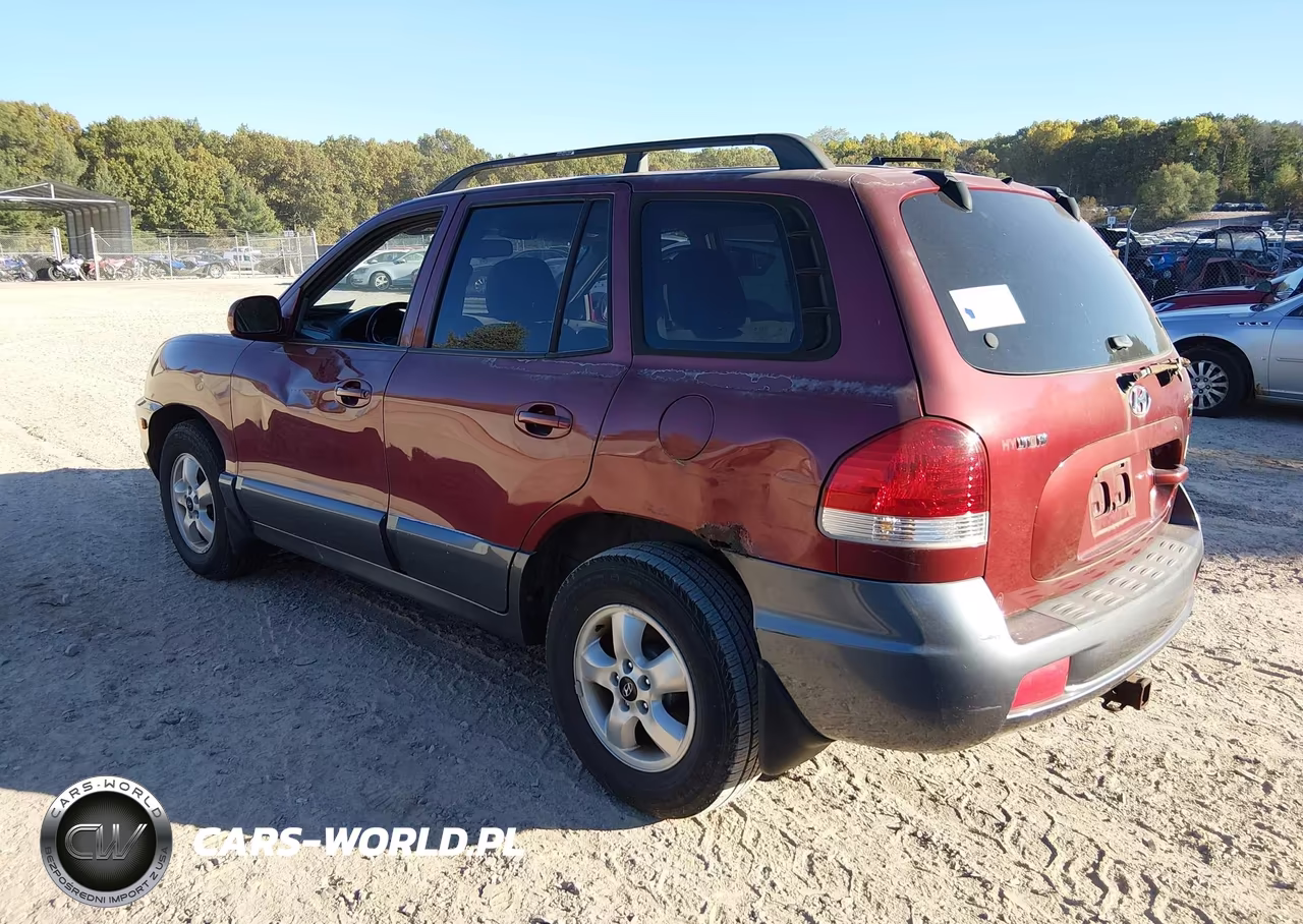 2005 Hyundai Santa Fe Gls-Lx VIN:KM8SC13E15U943569 - 3
