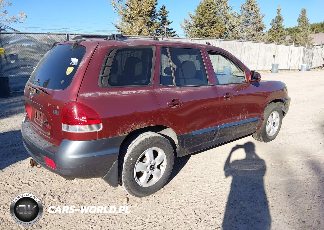 2005 Hyundai Santa Fe Gls-Lx VIN:KM8SC13E15U943569 - 4