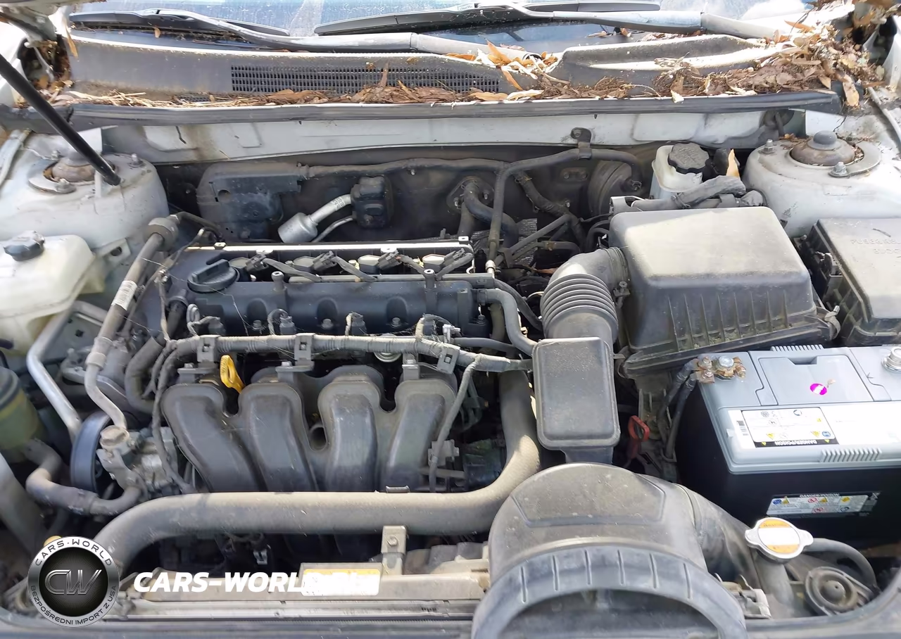 2009 Kia Optima Lx VIN:KNAGE228295296781 - 10