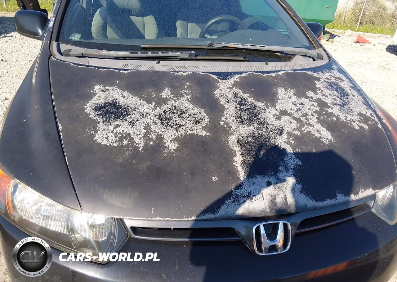 2008 Honda Civic Ex VIN:2HGFG11898H523297 - 6