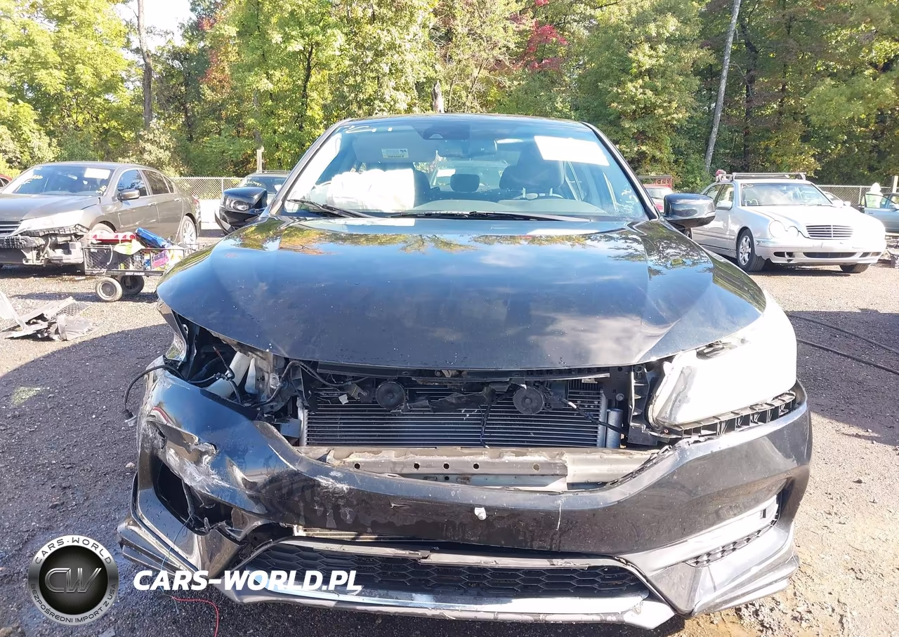 HONDA ACCORD VIN:1HGCR2F79GA147989 - 12