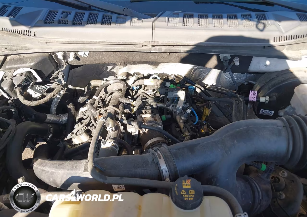 2019 Ford F-150 Xl VIN:1FTEW1CPXKFD28075 - 10