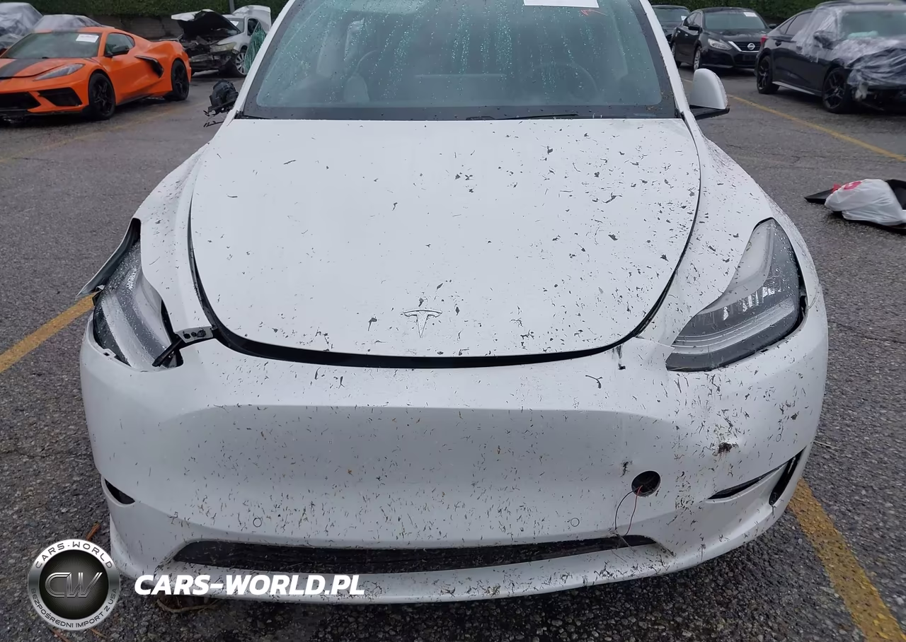 2021 Tesla Model Y Long Range Dual Motor All-Wheel Drive VIN:5YJYGDEE1MF078546 - 13