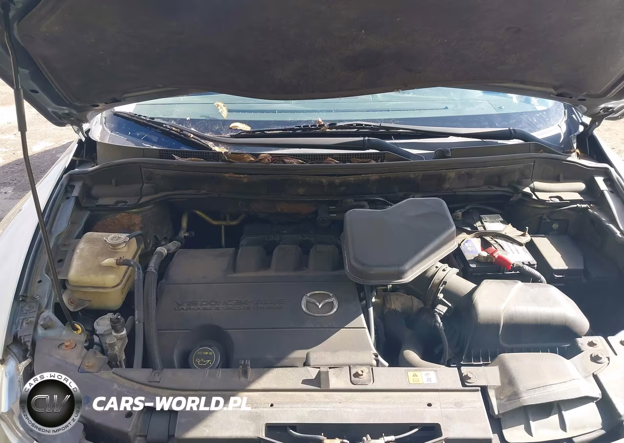 2012 Mazda Cx-9 Grand Touring VIN:JM3TB3DV7C0360179 - 10