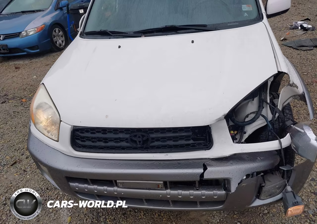 2001 Toyota Rav4 VIN:JTEHH20V210076822 - 10