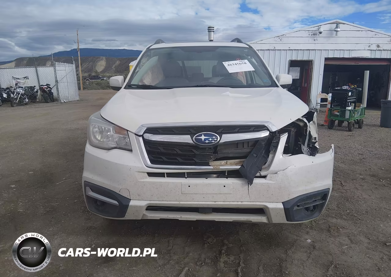 2018 Subaru Forester 2.5I Premium VIN:JF2SJAEC4JH413669 - 12
