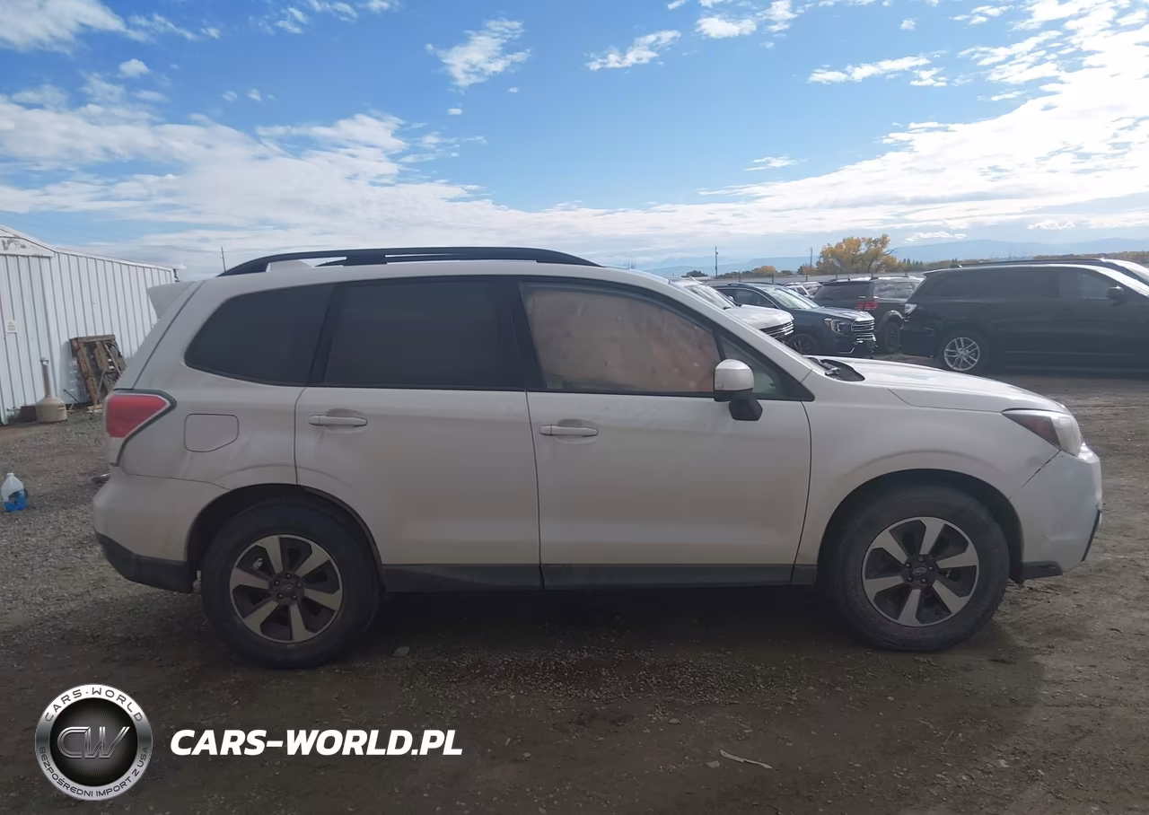 2018 Subaru Forester 2.5I Premium VIN:JF2SJAEC4JH413669 - 13