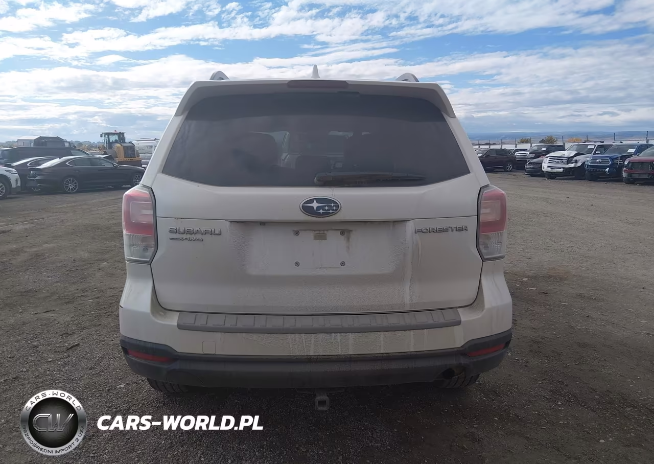 2018 Subaru Forester 2.5I Premium VIN:JF2SJAEC4JH413669 - 16