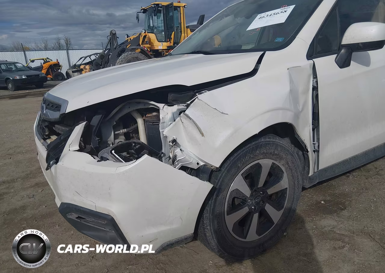 2018 Subaru Forester 2.5I Premium VIN:JF2SJAEC4JH413669 - 6
