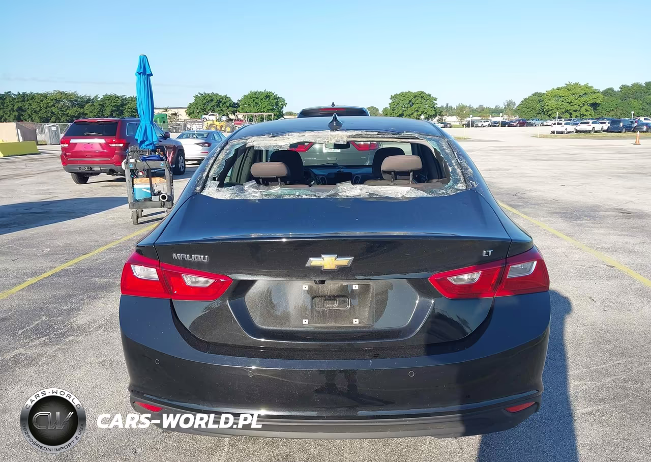 2024 Chevrolet Malibu Fwd 1Lt VIN:1G1ZD5ST3RF142944 - 17