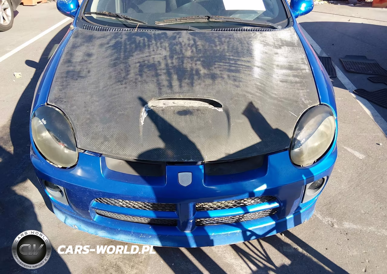 2004 Dodge Srt4 VIN:1B3ES66S04D596545 - 6