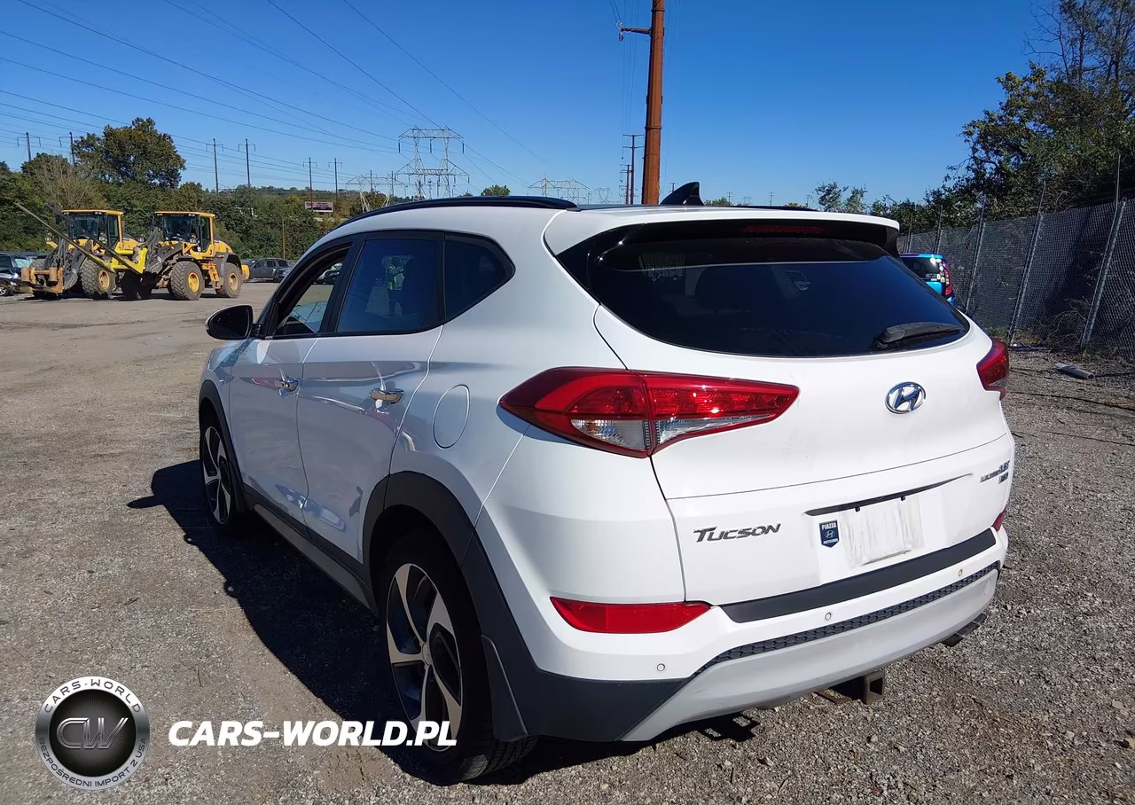 2017 Hyundai Tucson Limited VIN:KM8J3CA27HU286734 - 3
