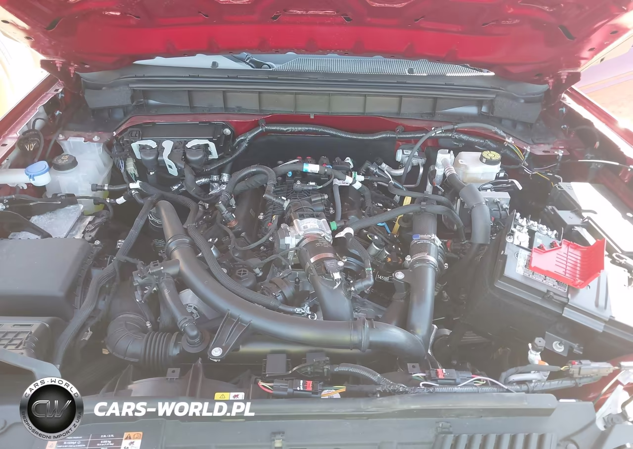 2025 Ford Bronco Badlands VIN:1FMEE9BP0SLB77408 - 10