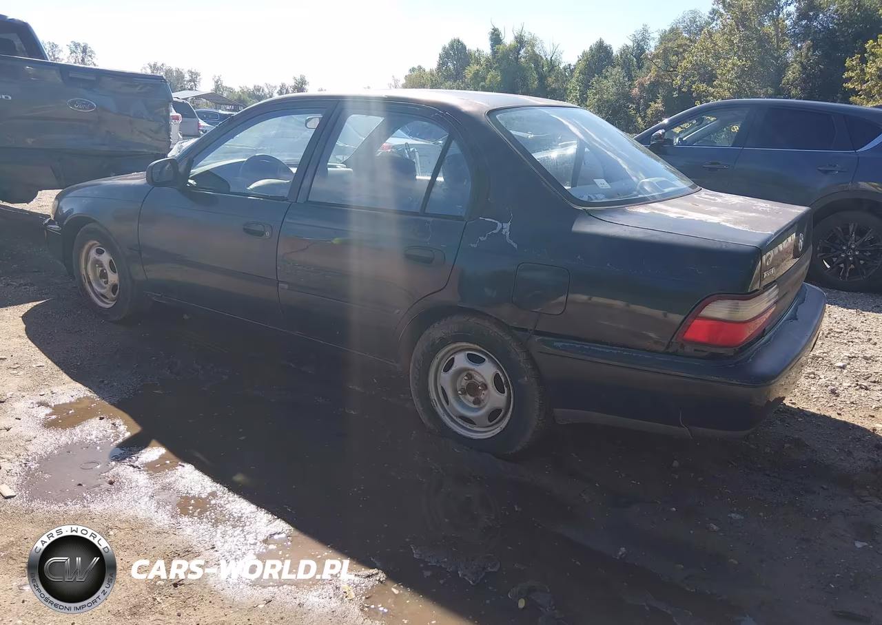 1997 Toyota Corolla Std VIN:1NXBA02E3VZ571511 - 3