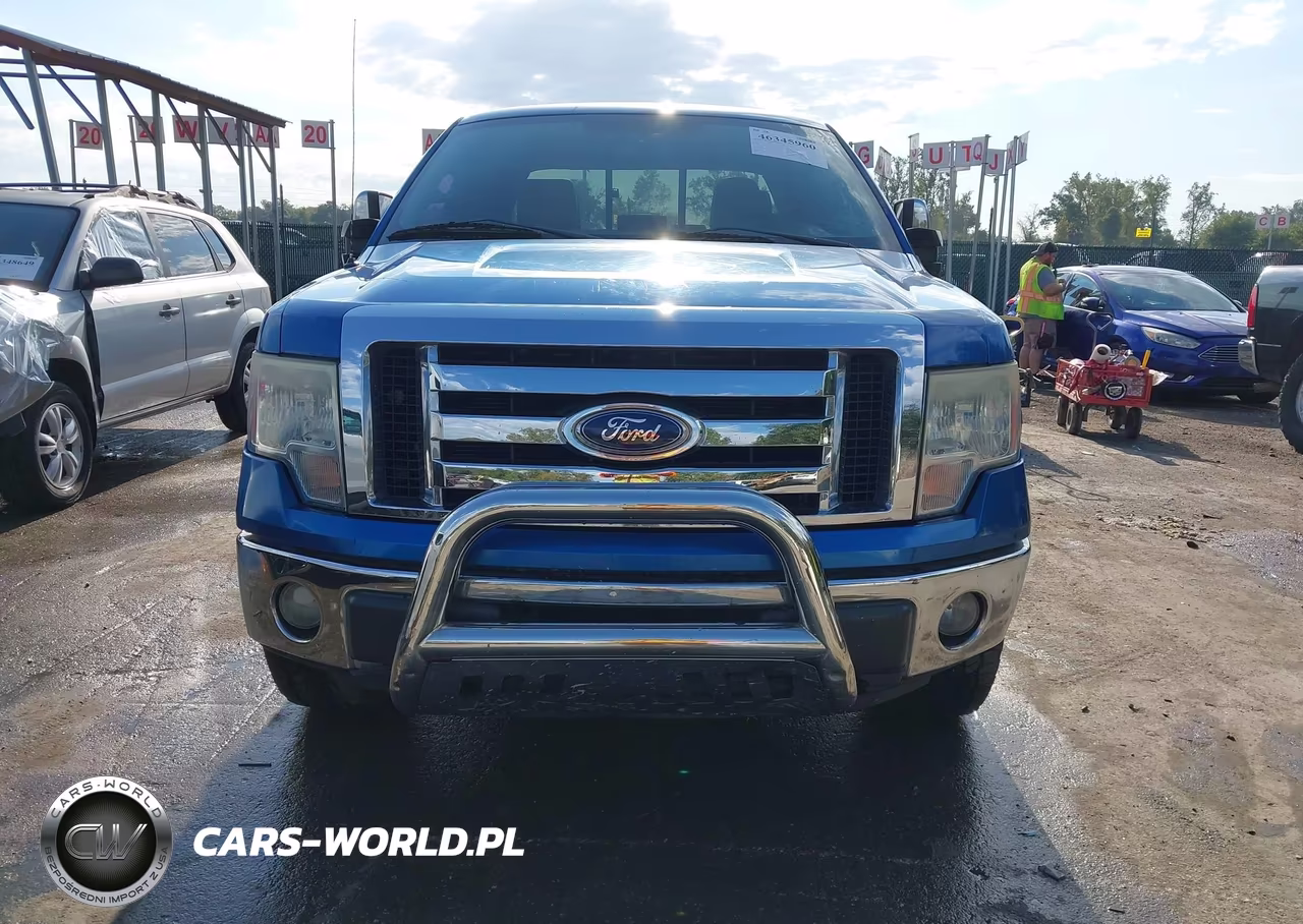 2010 Ford F-150 Stx-Xl-Xlt VIN:1FTEX1E83AFB33047 - 12