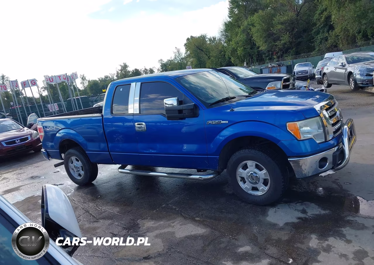 2010 Ford F-150 Stx-Xl-Xlt VIN:1FTEX1E83AFB33047 - 13