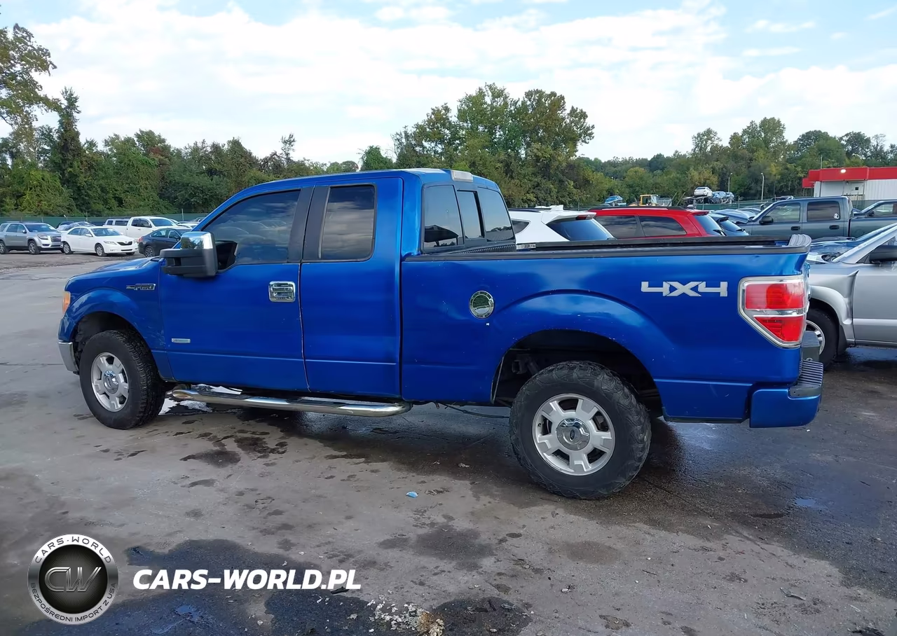 2010 Ford F-150 Stx-Xl-Xlt VIN:1FTEX1E83AFB33047 - 14