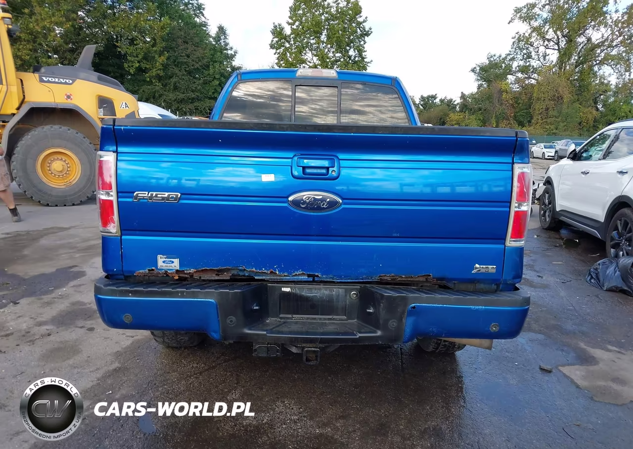 2010 Ford F-150 Stx-Xl-Xlt VIN:1FTEX1E83AFB33047 - 16