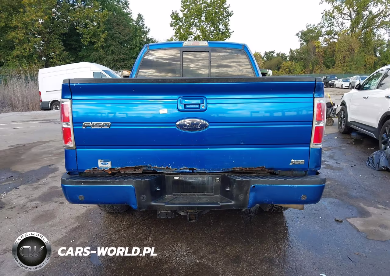 2010 Ford F-150 Stx-Xl-Xlt VIN:1FTEX1E83AFB33047 - 18