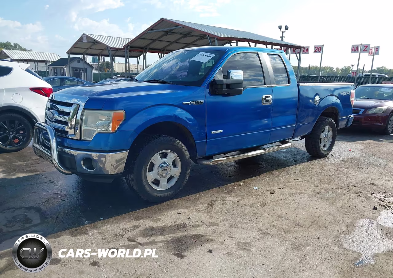 2010 Ford F-150 Stx-Xl-Xlt VIN:1FTEX1E83AFB33047 - 2