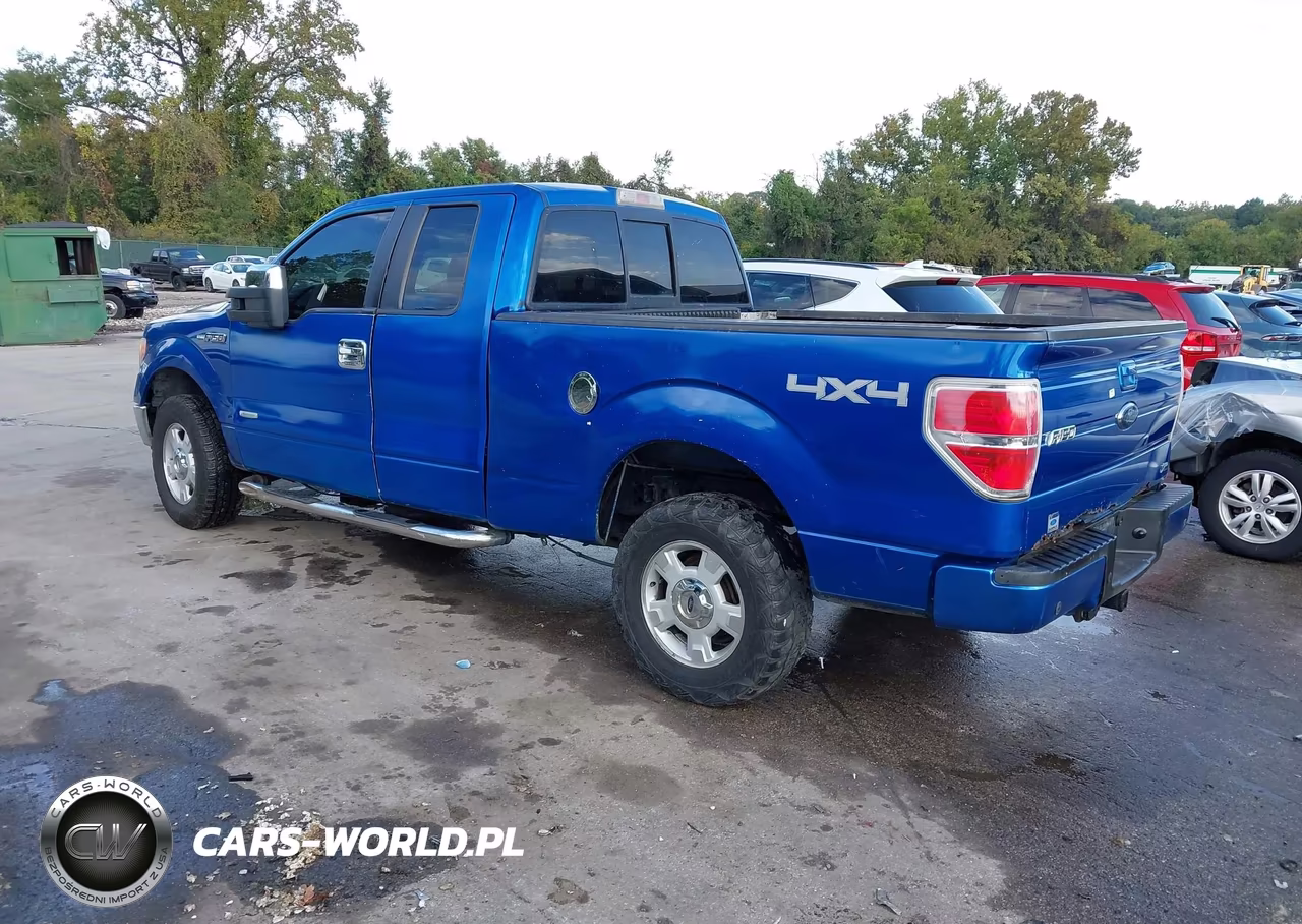 2010 Ford F-150 Stx-Xl-Xlt VIN:1FTEX1E83AFB33047 - 3