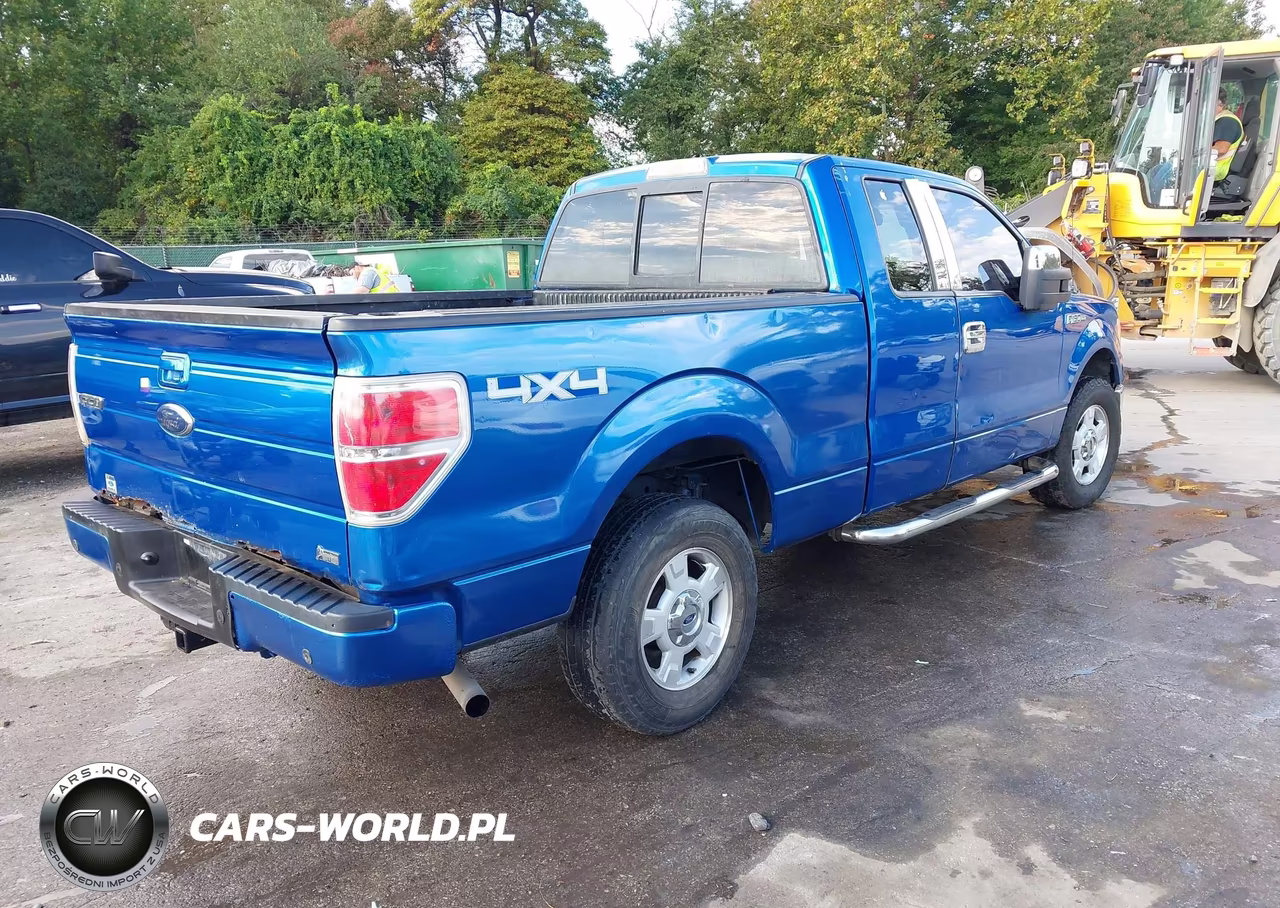 2010 Ford F-150 Stx-Xl-Xlt VIN:1FTEX1E83AFB33047 - 4