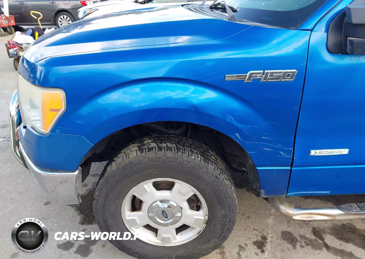 2010 Ford F-150 Stx-Xl-Xlt VIN:1FTEX1E83AFB33047 - 6