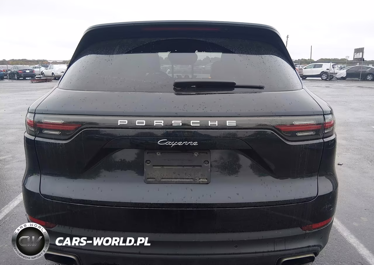 2020 Porsche Cayenne VIN:WP1AA2AY9LDA00656 - 16