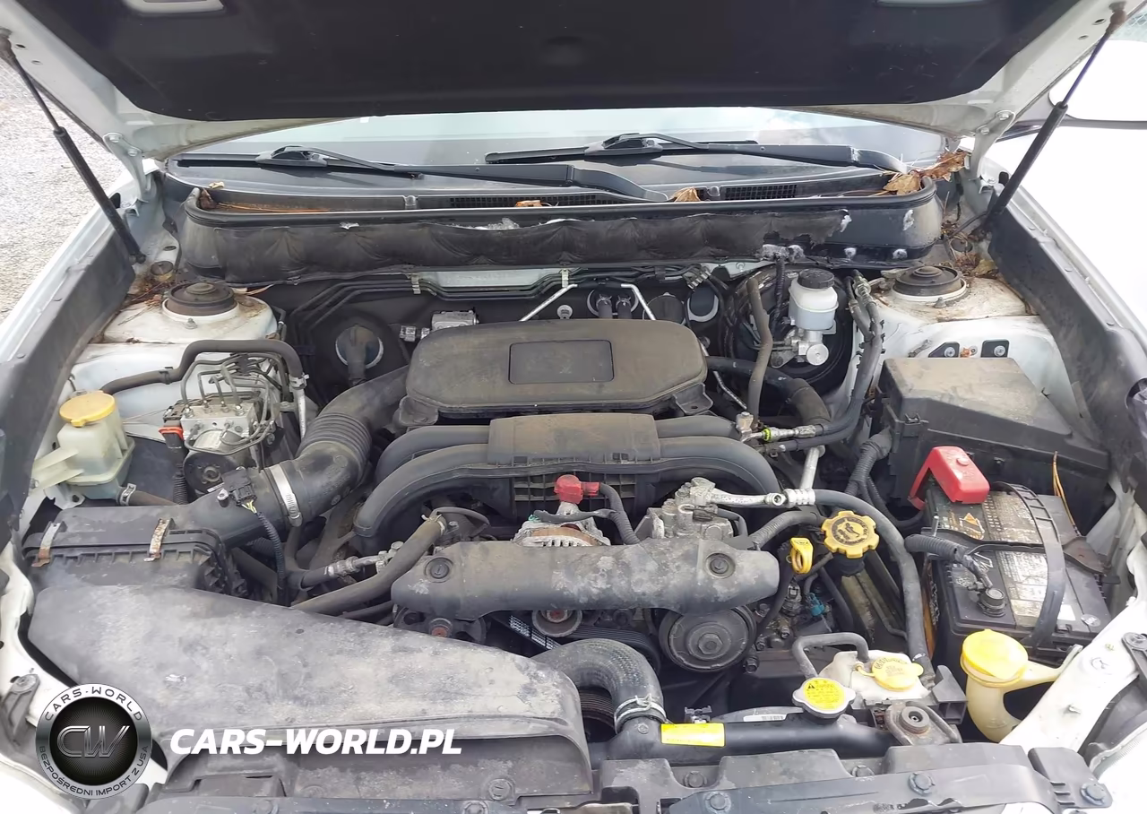 2010 Subaru Outback 2.5I Premium VIN:4S4BRBCC1A3368943 - 10