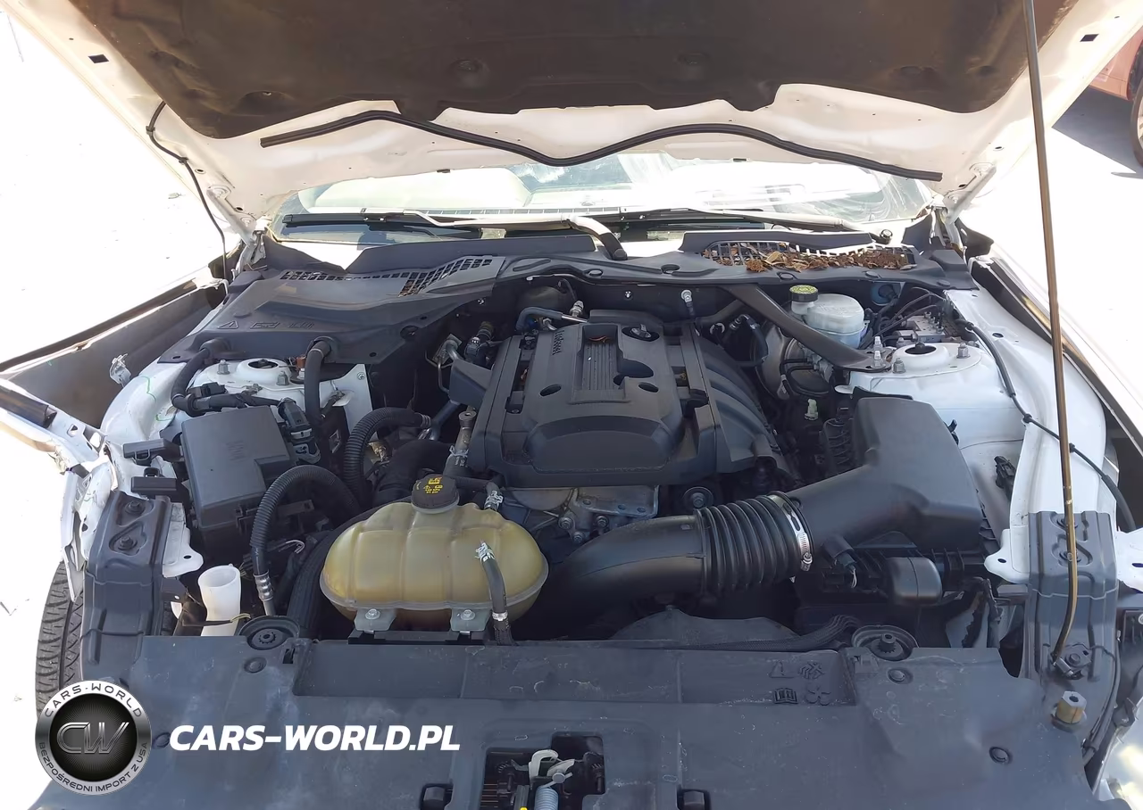 2019 Ford Mustang Ecoboost Premium VIN:1FATP8UH5K5178764 - 10