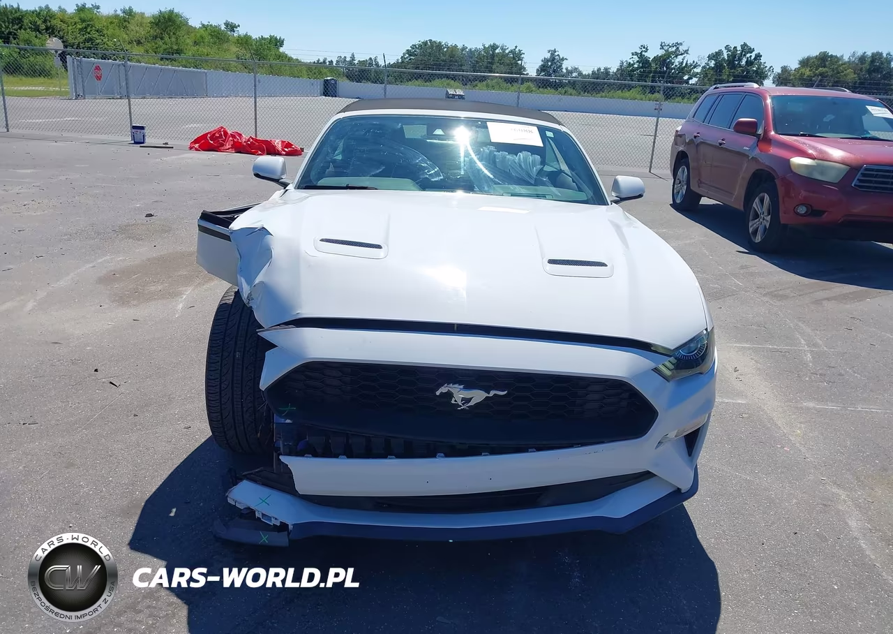 2019 Ford Mustang Ecoboost Premium VIN:1FATP8UH5K5178764 - 12