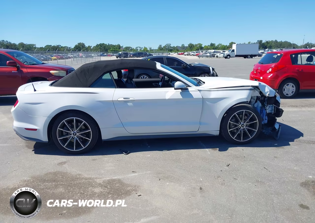 2019 Ford Mustang Ecoboost Premium VIN:1FATP8UH5K5178764 - 13