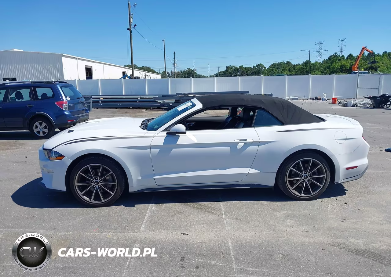 2019 Ford Mustang Ecoboost Premium VIN:1FATP8UH5K5178764 - 14