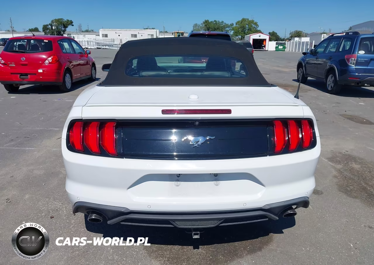 2019 Ford Mustang Ecoboost Premium VIN:1FATP8UH5K5178764 - 16
