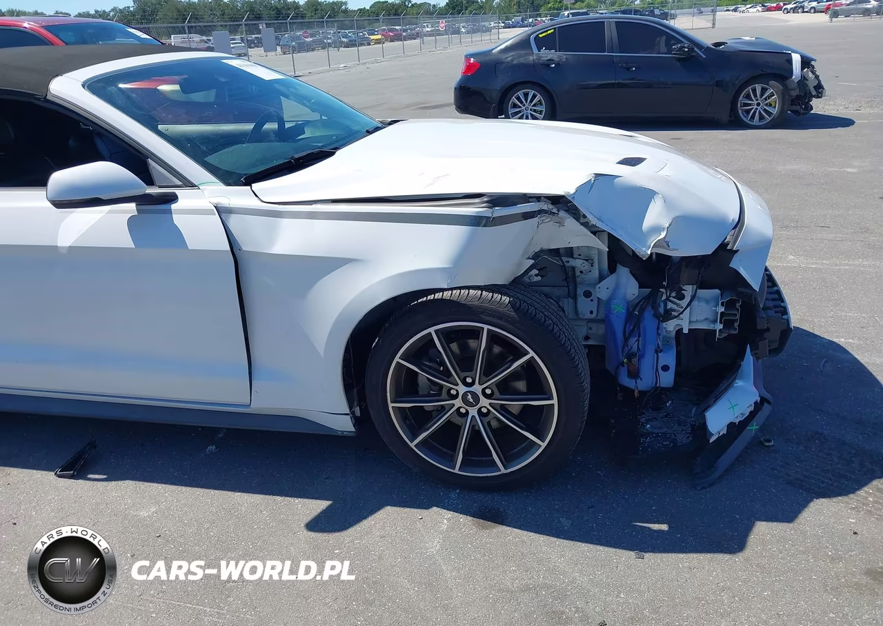 2019 Ford Mustang Ecoboost Premium VIN:1FATP8UH5K5178764 - 17