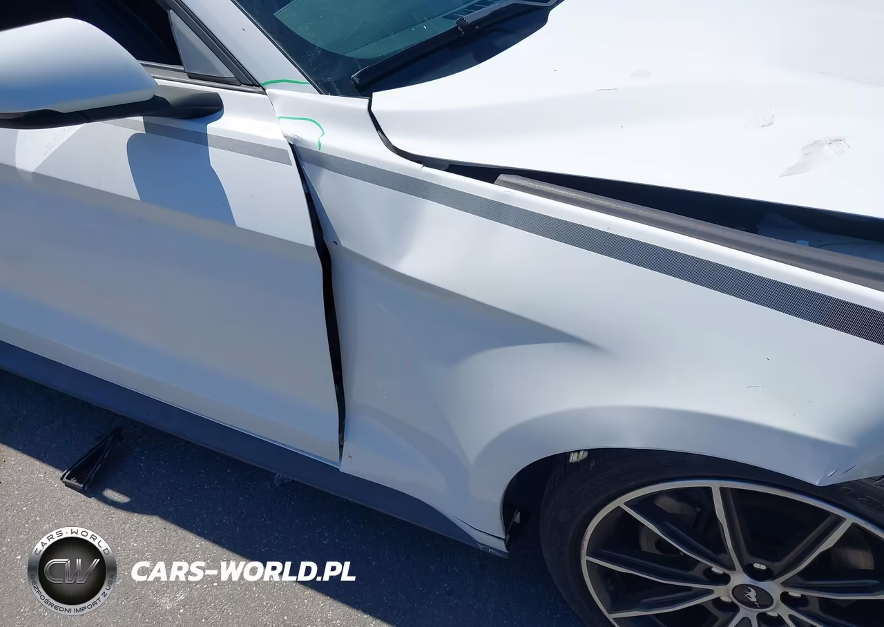 2019 Ford Mustang Ecoboost Premium VIN:1FATP8UH5K5178764 - 18