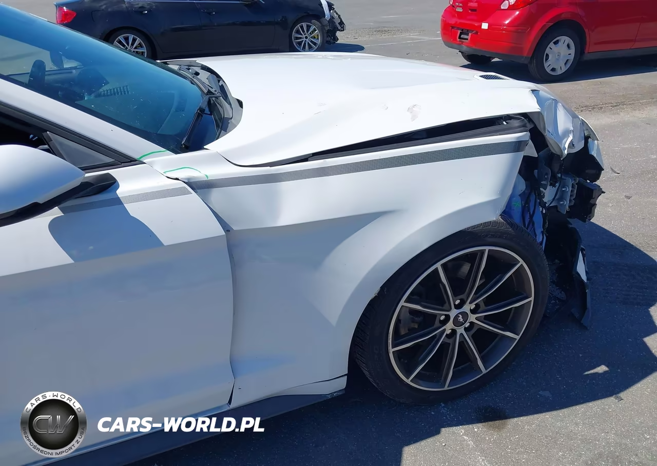 2019 Ford Mustang Ecoboost Premium VIN:1FATP8UH5K5178764 - 19