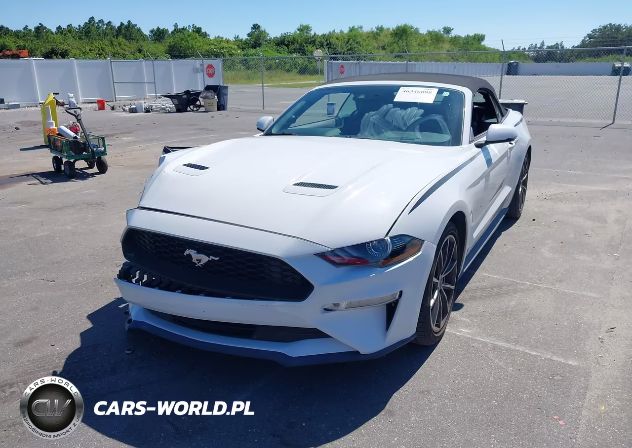 2019 Ford Mustang Ecoboost Premium VIN:1FATP8UH5K5178764 - 2