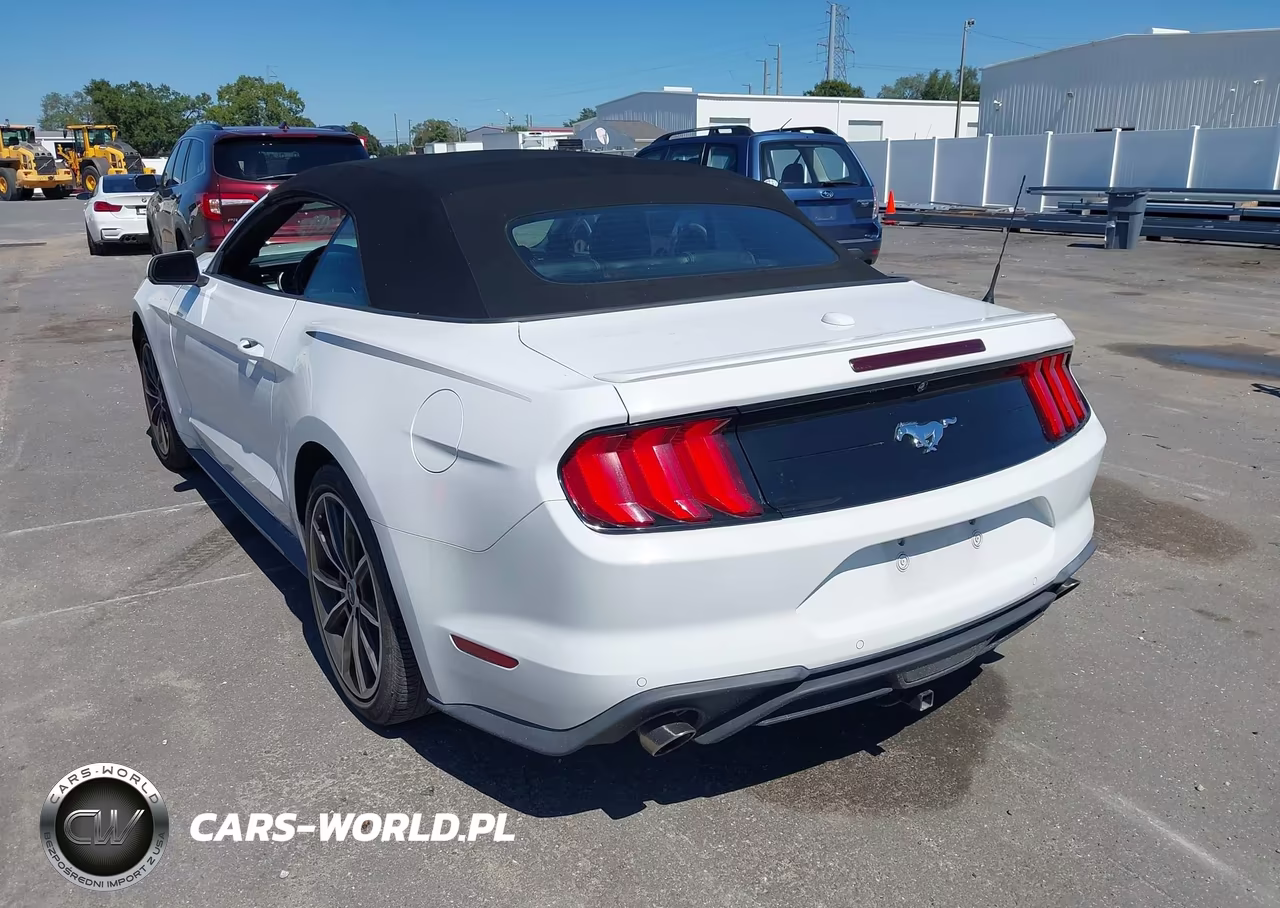 2019 Ford Mustang Ecoboost Premium VIN:1FATP8UH5K5178764 - 3