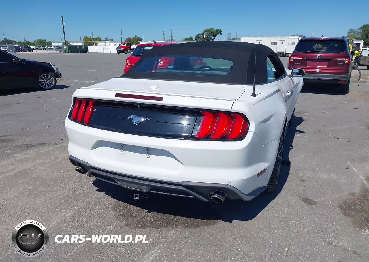 2019 Ford Mustang Ecoboost Premium VIN:1FATP8UH5K5178764 - 4