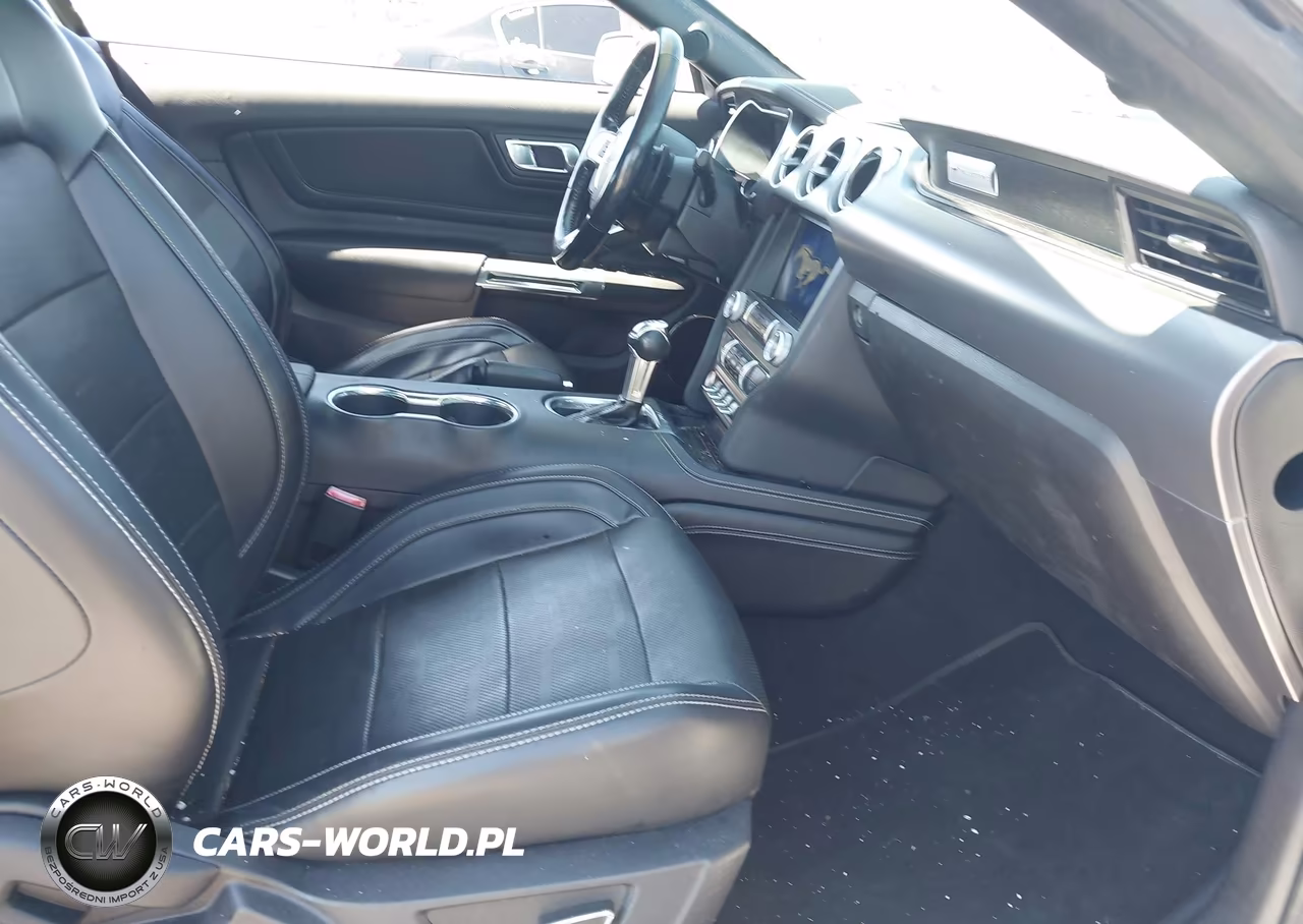 2019 Ford Mustang Ecoboost Premium VIN:1FATP8UH5K5178764 - 5