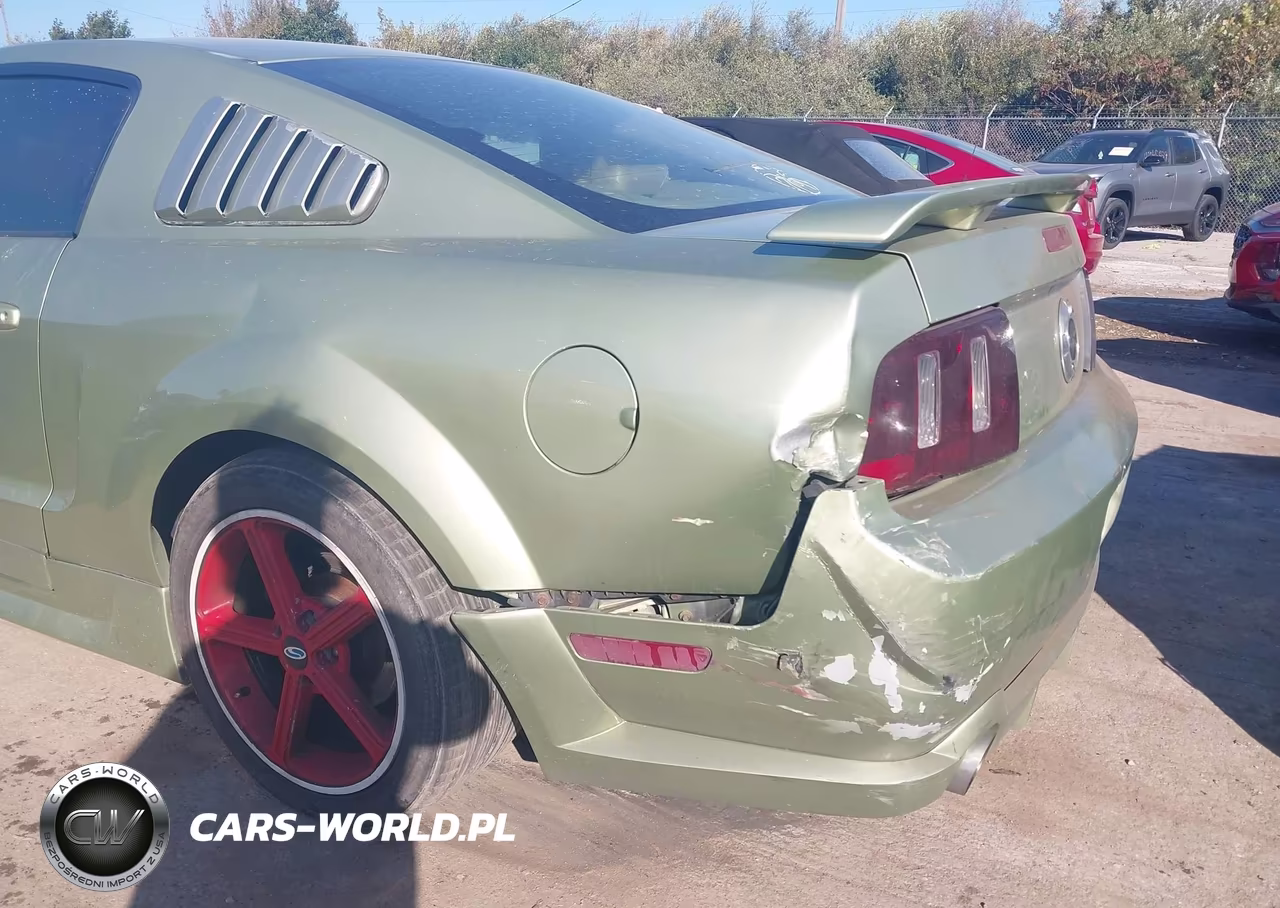 2005 Ford Mustang Gt Deluxe-Gt Premium VIN:1ZVHT82HX55245813 - 6