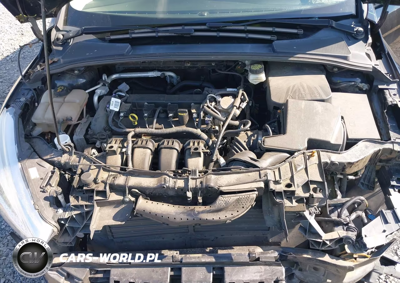 2017 Ford Focus Se VIN:1FADP3K23HL234226 - 10