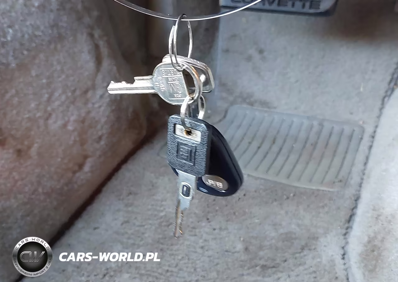 1992 Chevrolet Corvette VIN:1G1YY23PXN5113795 - 11