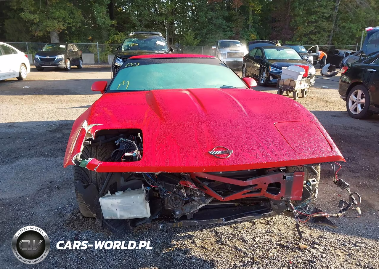 1992 Chevrolet Corvette VIN:1G1YY23PXN5113795 - 12
