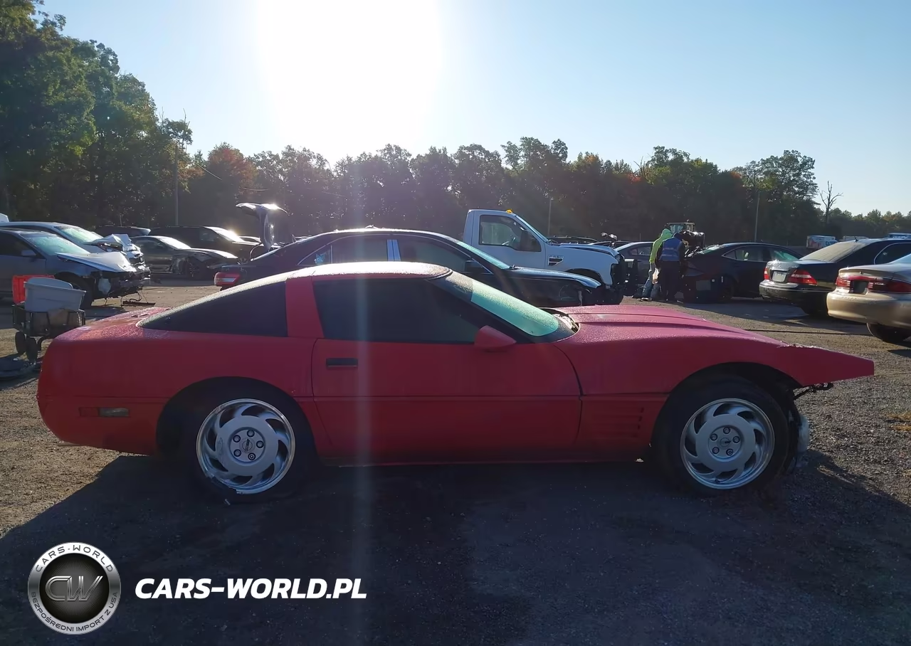 1992 Chevrolet Corvette VIN:1G1YY23PXN5113795 - 13