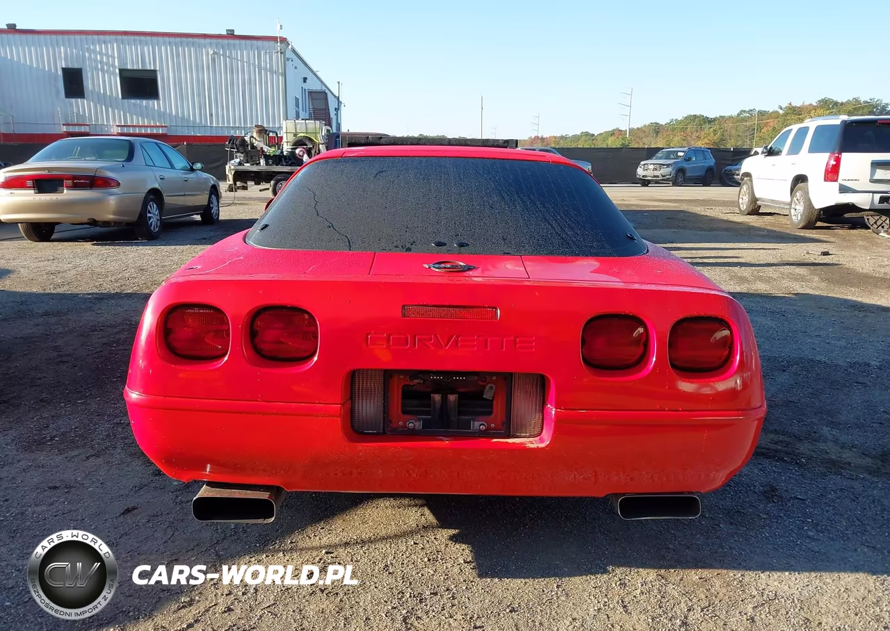 1992 Chevrolet Corvette VIN:1G1YY23PXN5113795 - 16
