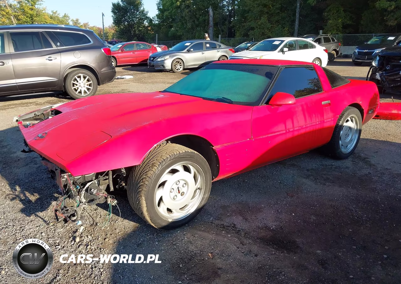 1992 Chevrolet Corvette VIN:1G1YY23PXN5113795 - 2