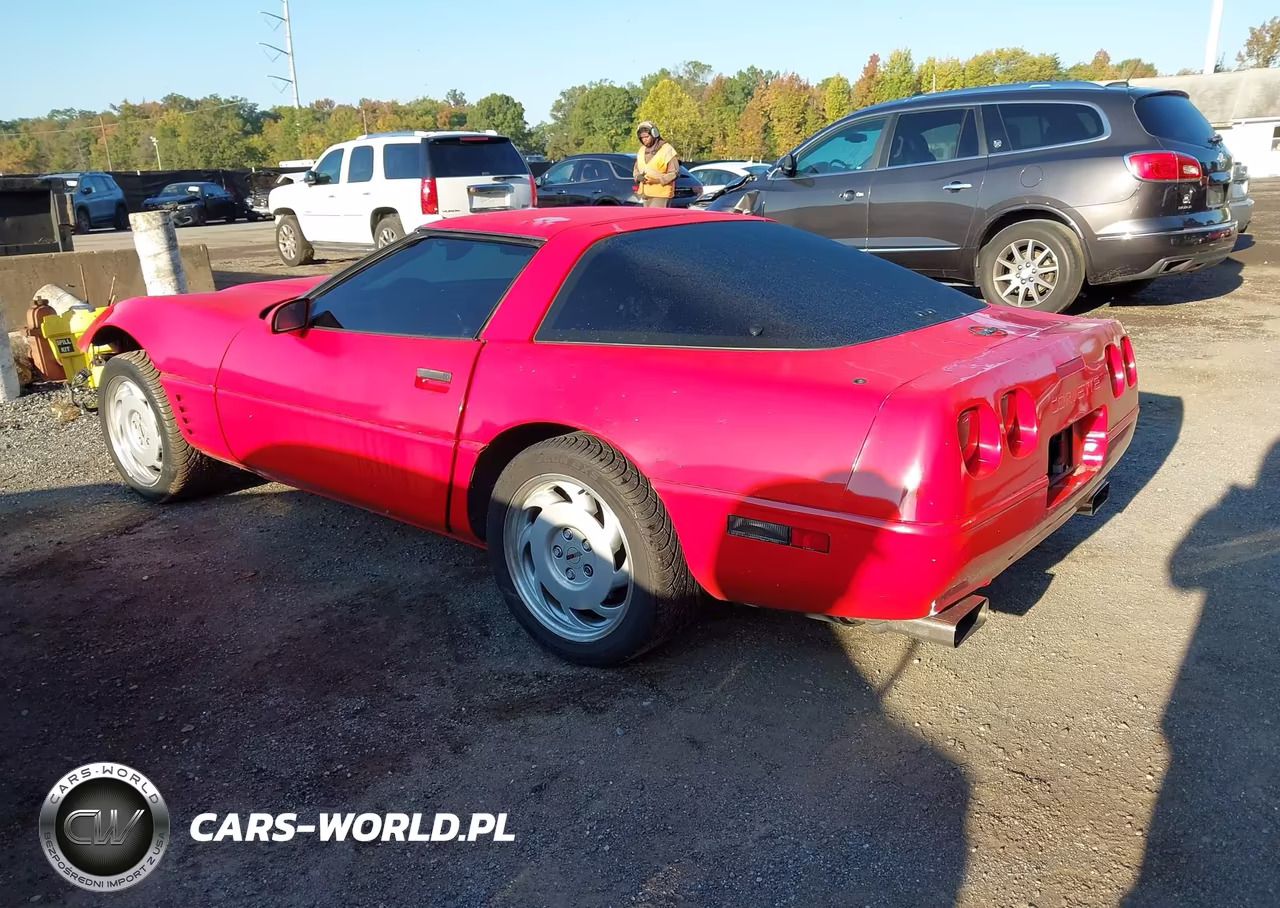 1992 Chevrolet Corvette VIN:1G1YY23PXN5113795 - 3